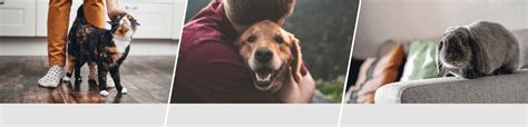 argos pet insurance portal.